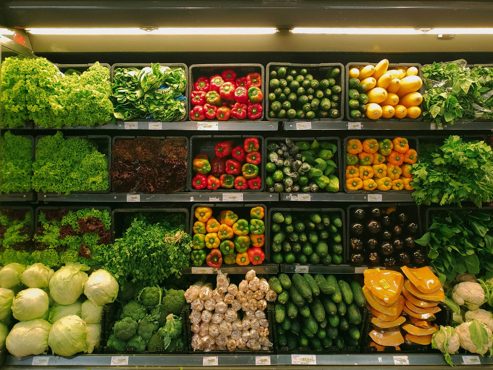 Other Agricultural Commodities